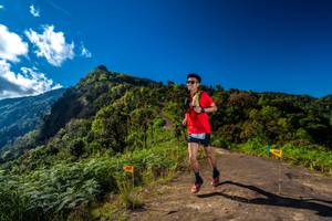 BIB: 
                            <button type="button" onclick="openModal(19033577)" class="btn btn-primary btn-sm float-right btn-popup" data-toggle="modal" data-target=".modal-high-quality">
                        <i class="fas fa-shopping-cart"></i> Add to Cart
                    </button>
                                            <button type="button" onclick="isThisMe(19033577, true)" class="btn btn-success btn-sm float-right btn-popup btn-isme hidden" data-toggle="tooltip" data-placement="bottom" title="นี่คือรูปของคุณใช่ไหม คลิกที่นี่เพื่อเอาเข้าอัลบั้ม">
                        <i class="fas fa-plus"></i> Add to album
                    </button>
                    <button type="button" onclick="isThisMe(19033577, false)" class="btn btn-warning btn-sm float-right btn-popup btn-isnotme hidden">
                        <i class="fas fa-ban"></i> Remove from album
                    </button>